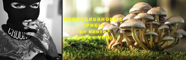 трава Абаза