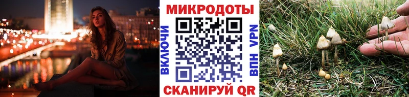Галлюциногенные грибы MAGIC MUSHROOMS  где купить наркоту  Урень 